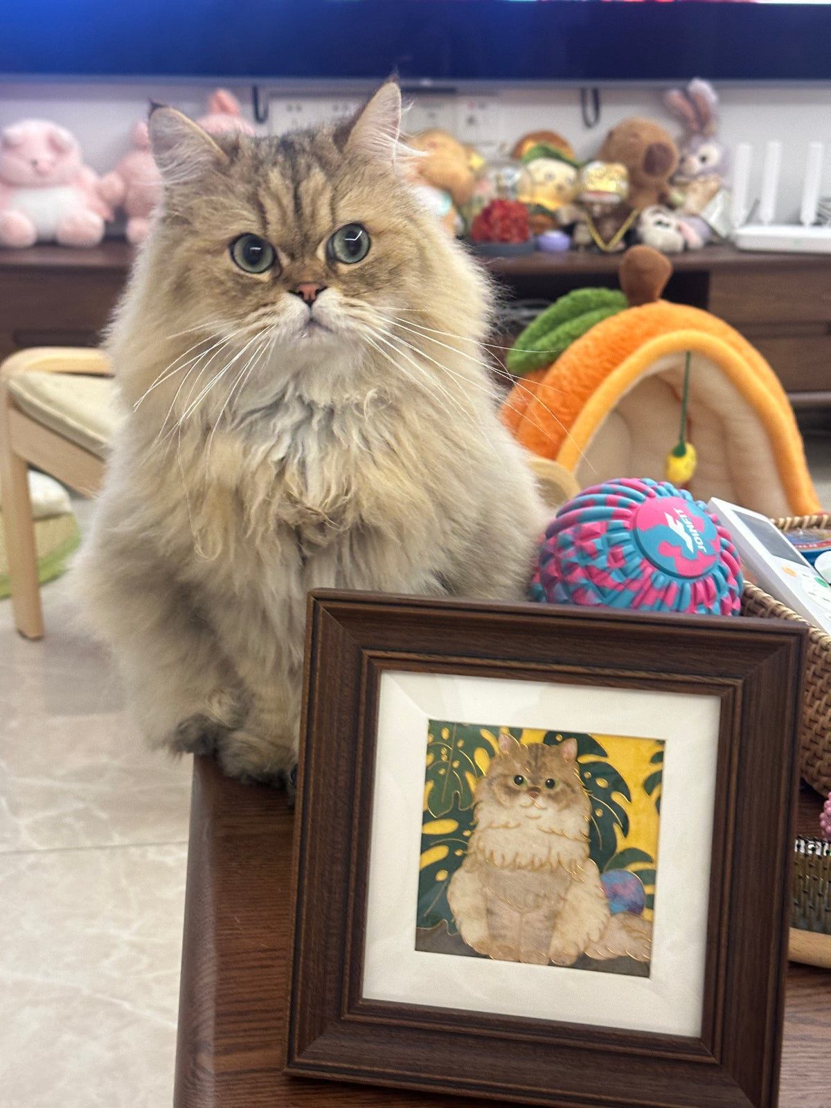 Un chat doré à poils longs à côté de son portrait dans un cadre marron foncé, avec des feuilles vertes sur fond jaune.
