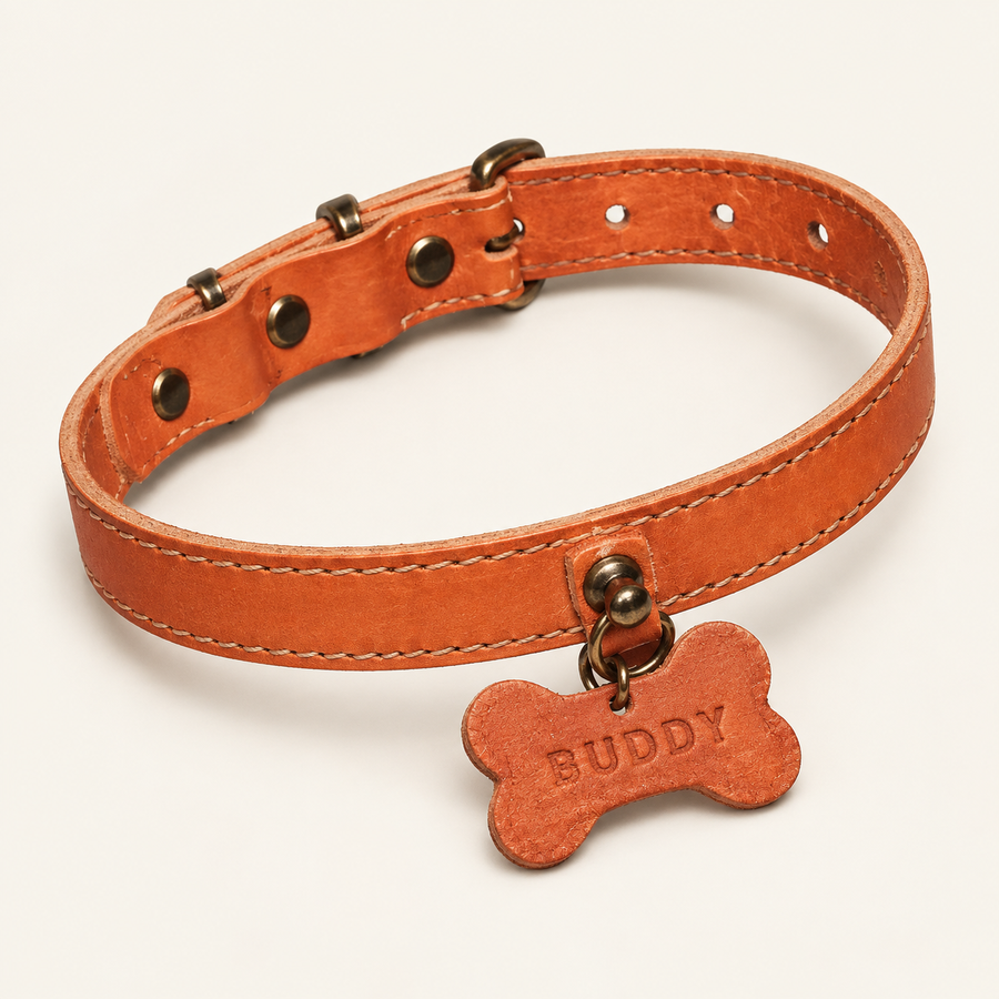 Personalised Leather Pet Collar